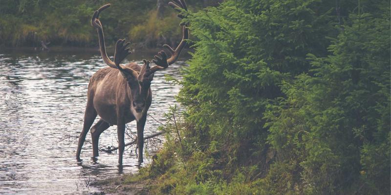 从精密加工到指尖体验：五金制品设计中不可忽视的用户体验革命