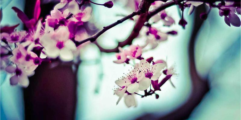 工业4.0浪潮:模具加工与注塑模具如何重塑五金制品制造业的未来